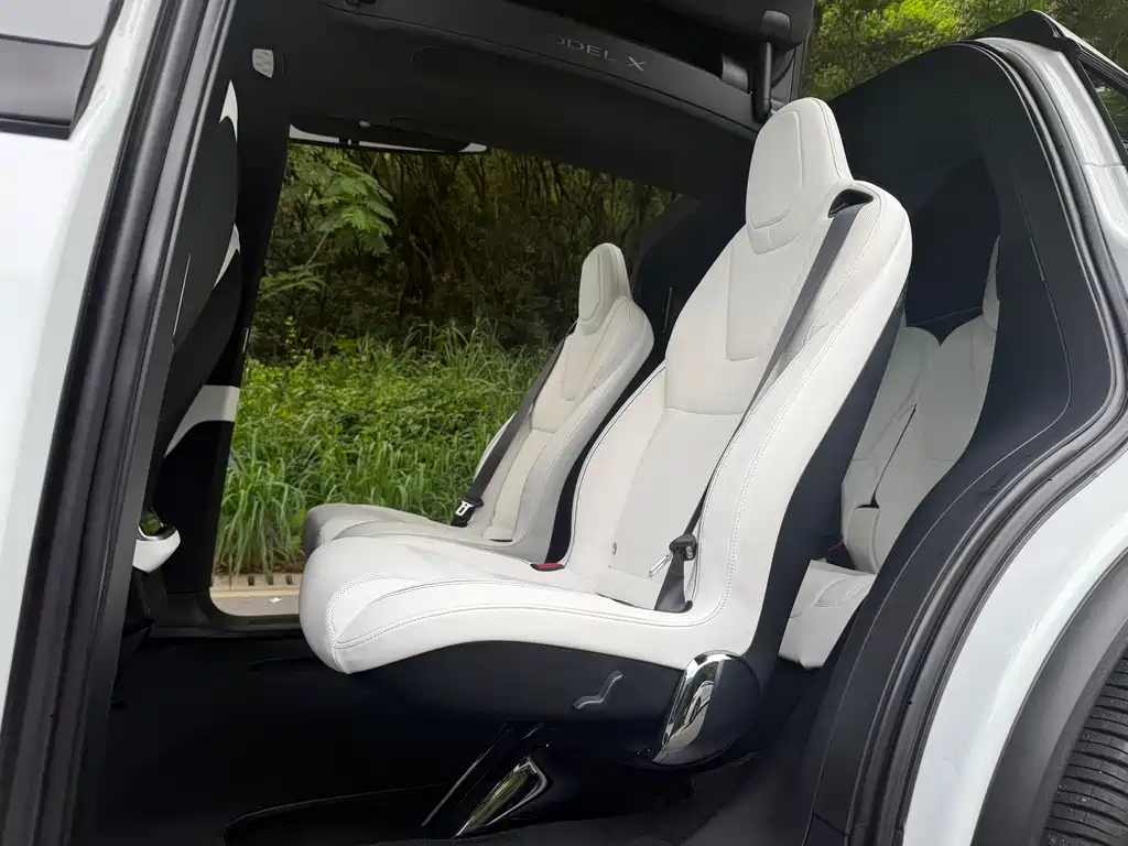 Tesla Model X — фотографии объявления, Фото 11
