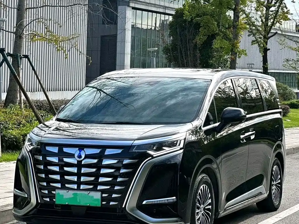Denza Denza D9