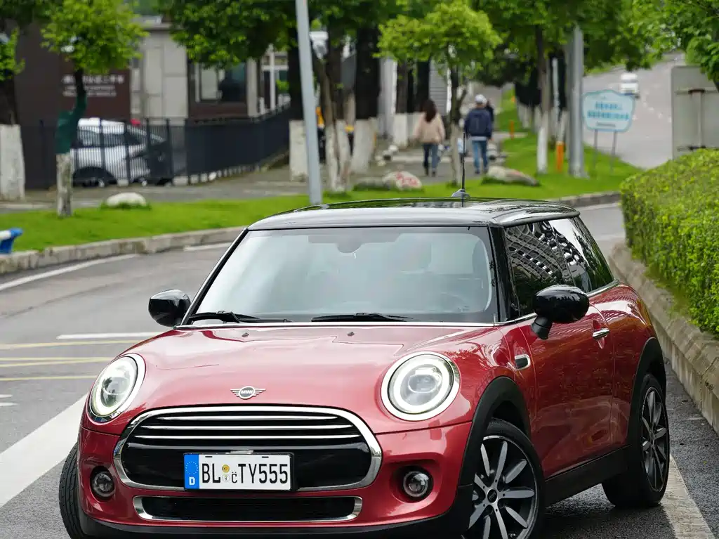 Mini Mini 2020