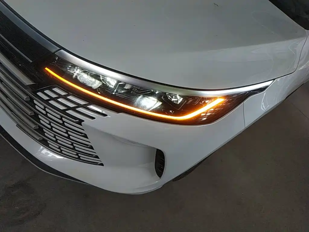 BYD Destroyer 05 — миниатюра 24