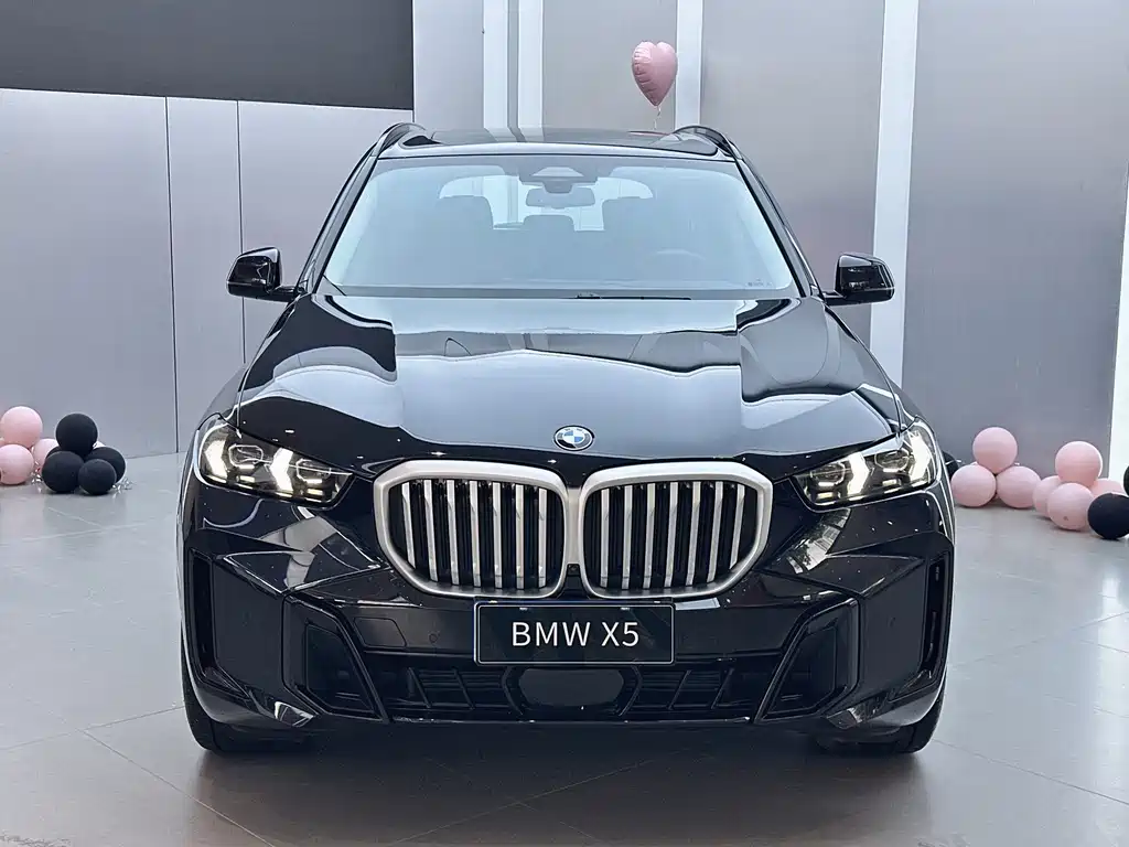 BMW X5 — миниатюра 2