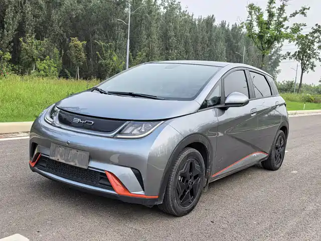 BYD Dolphin