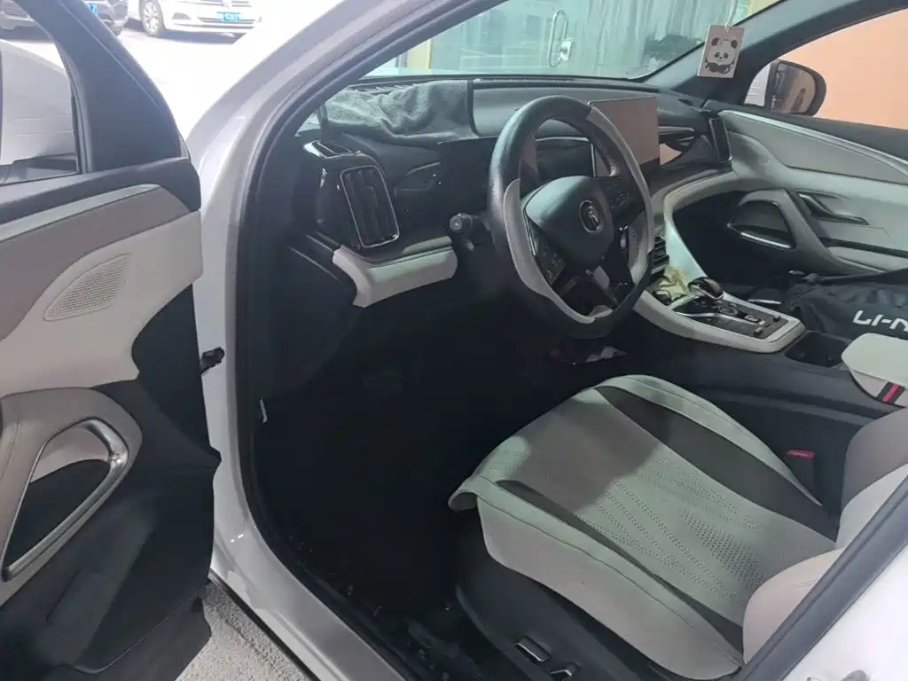 BYD Pro New Energy — миниатюра 16