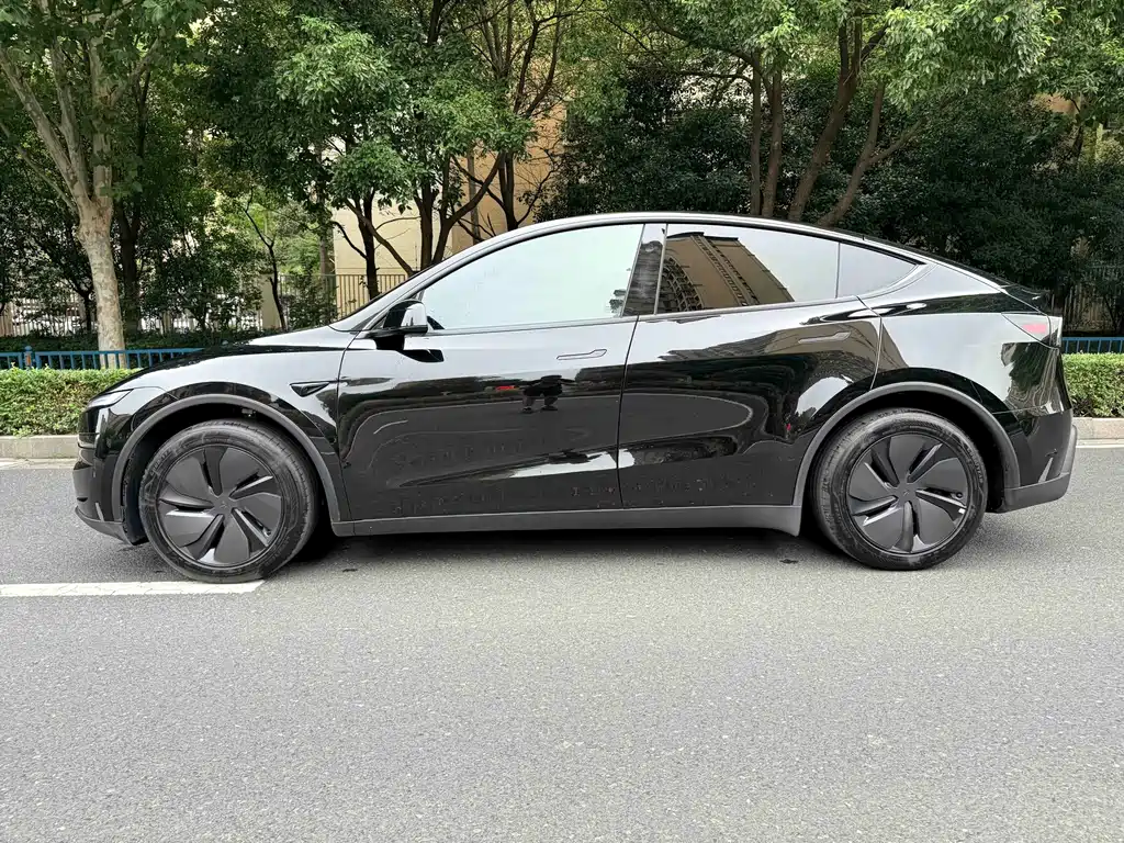 Tesla Model Y — миниатюра 5