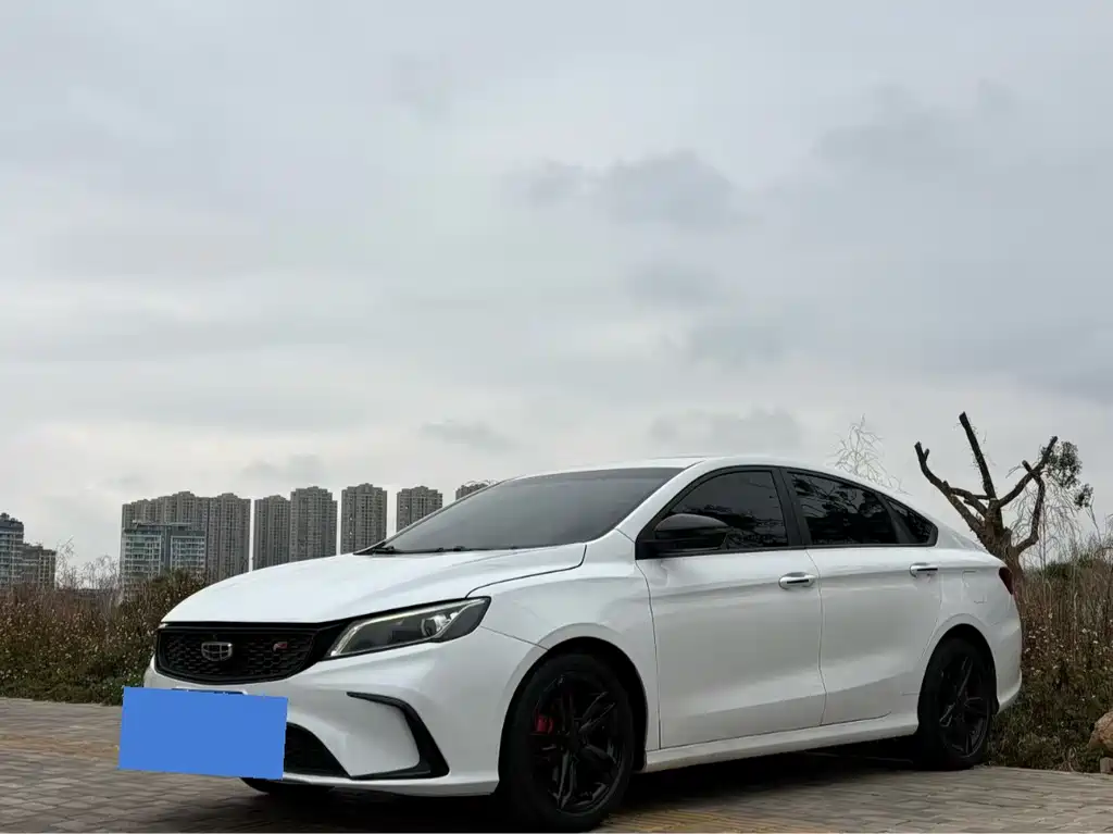 GEELY AUTOMOBILE BINRUI