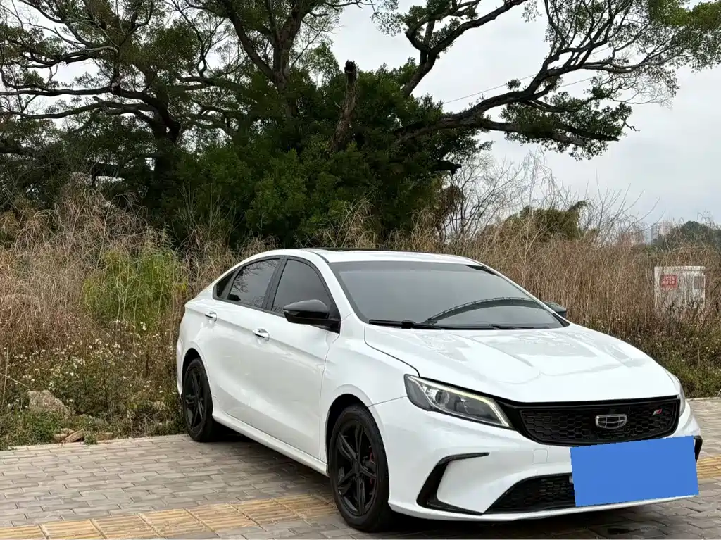 GEELY AUTOMOBILE BINRUI