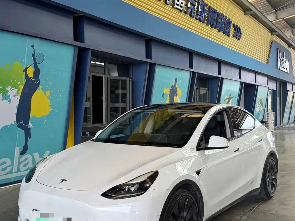 Tesla Model Y — миниатюра 2