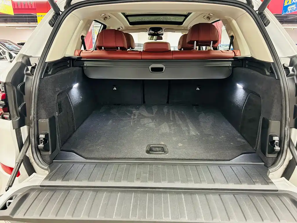 BMW X5 — миниатюра 19