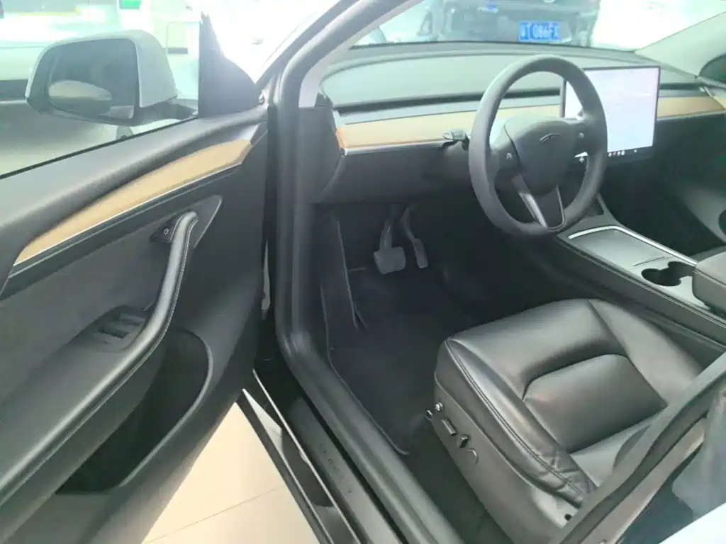 Tesla Model Y — миниатюра 16