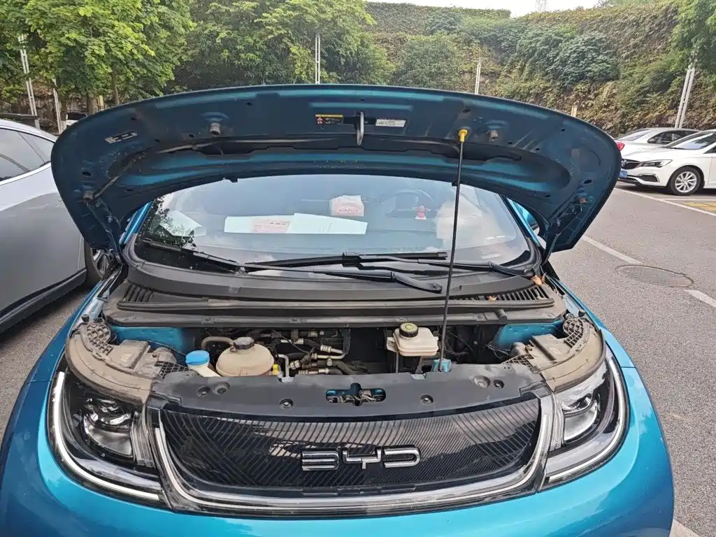 BYD Dolphin — миниатюра 11