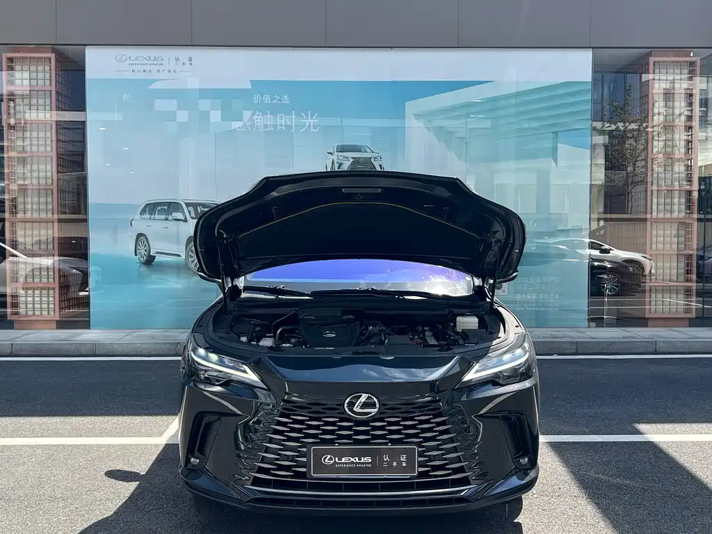 Lexus RX — миниатюра 4