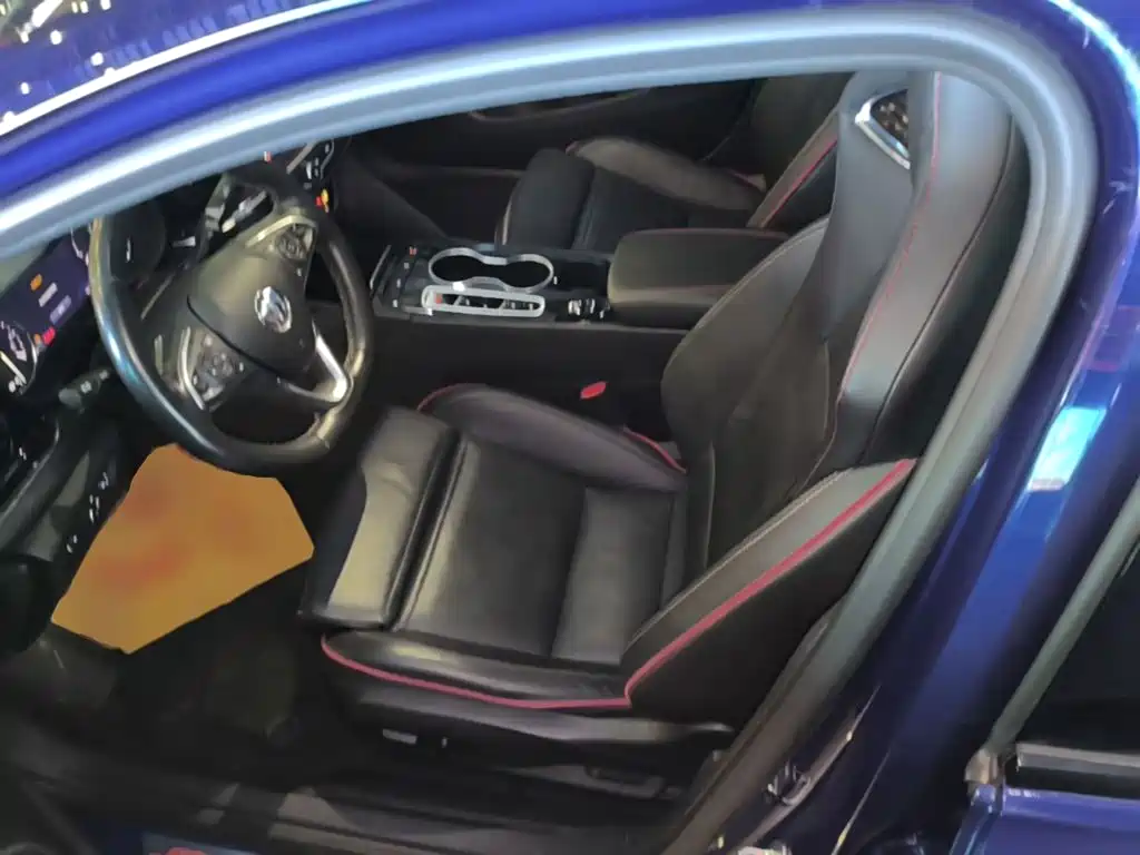Buick Regal — миниатюра 15
