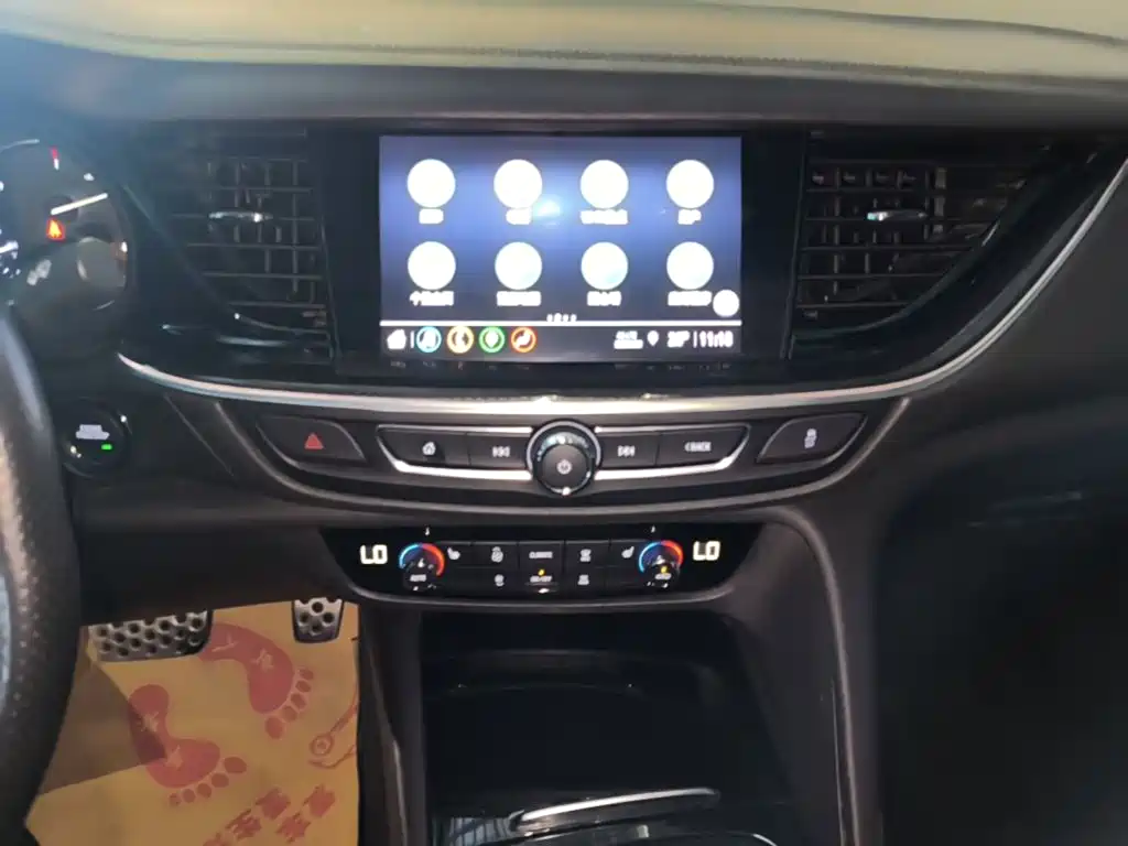 Buick Regal — миниатюра 13