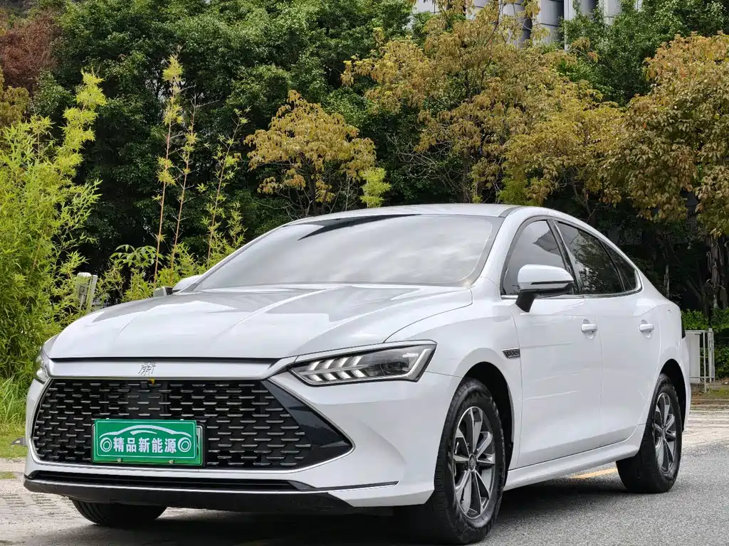 Byd Qin PLUS 2024