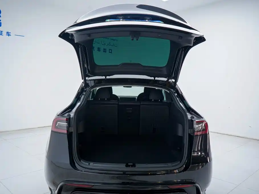Tesla Model Y — миниатюра 10