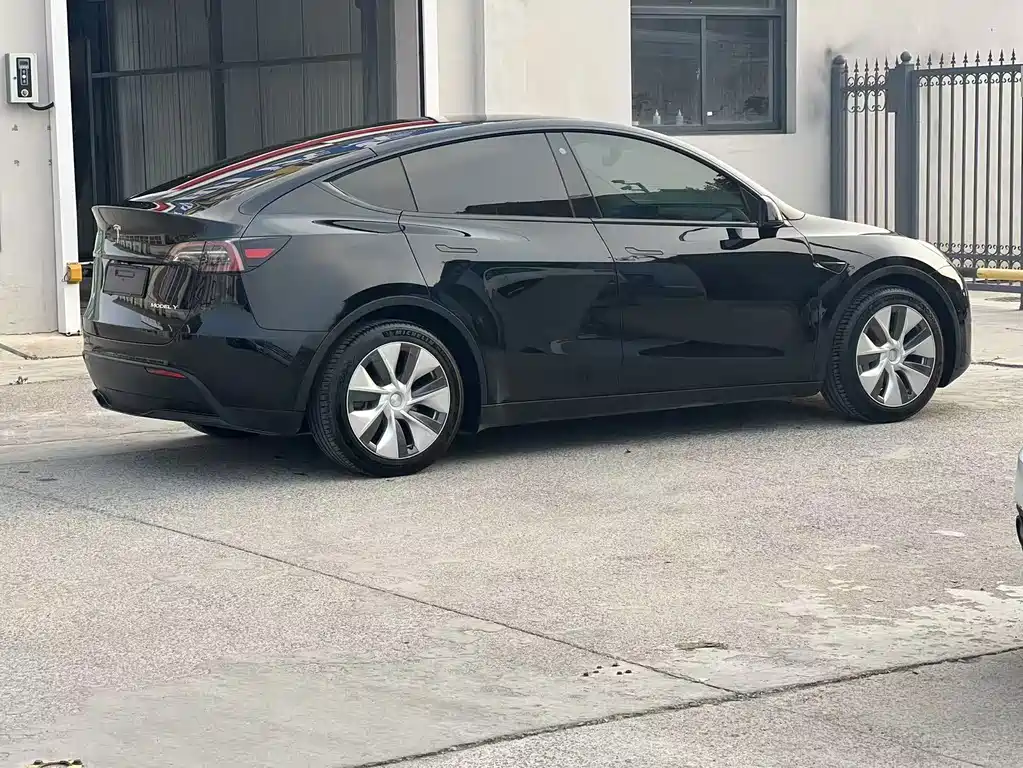 Tesla Model Y — миниатюра 10