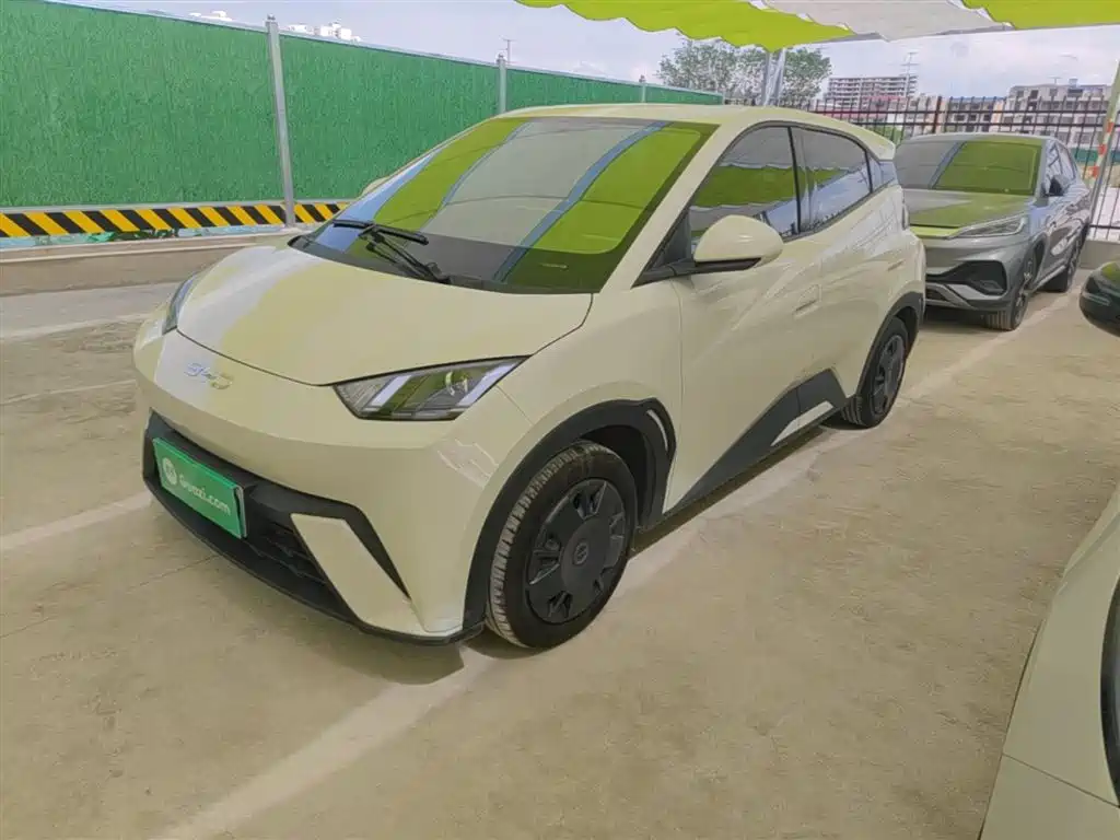 Byd Seagull 2024