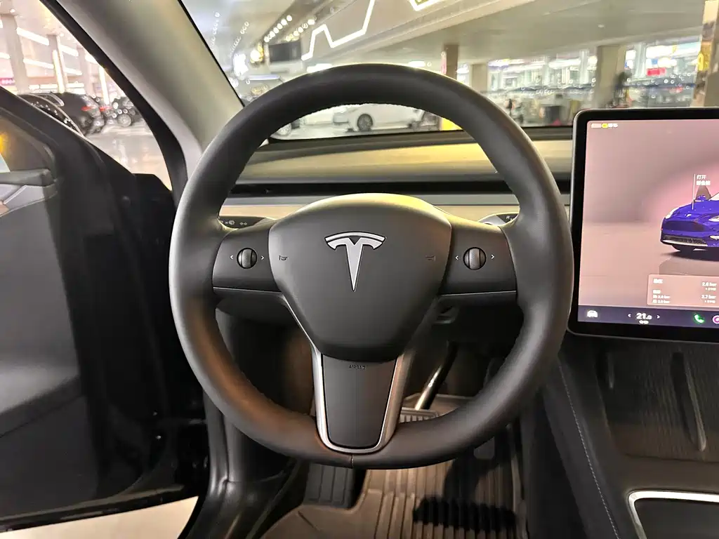 Tesla Model Y — миниатюра 13