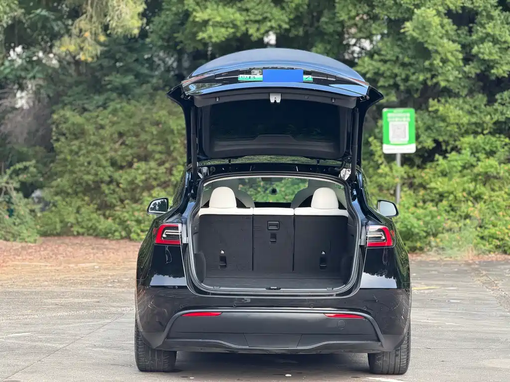Tesla Model Y — миниатюра 13