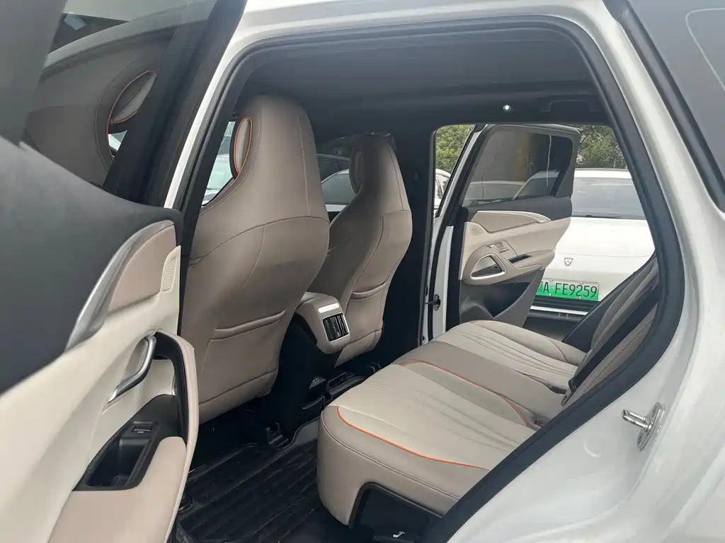 BYD SONGJIANG NEW ENERGY