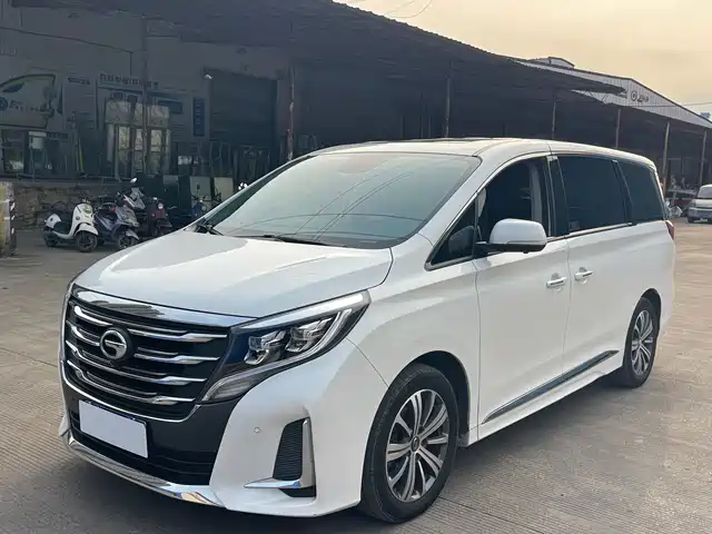 2020 GAC GN8