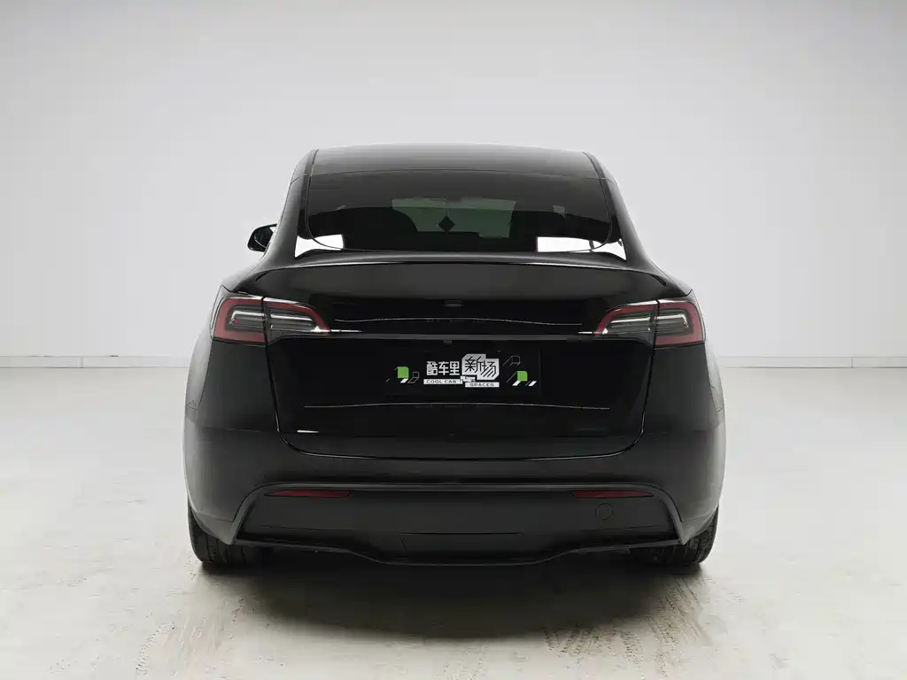 Tesla Model Y — миниатюра 5
