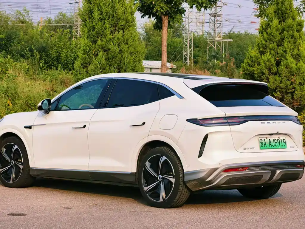 Denza Denza N7 — миниатюра 4