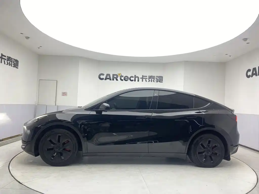 Tesla Model Y — миниатюра 8