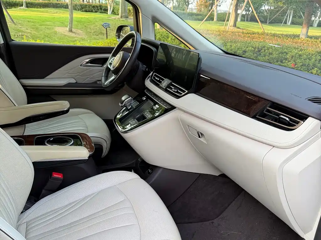 Hongqi Hongqi HQ9 — миниатюра 9