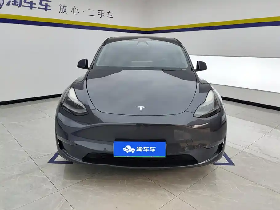 Tesla Model Y — миниатюра 2