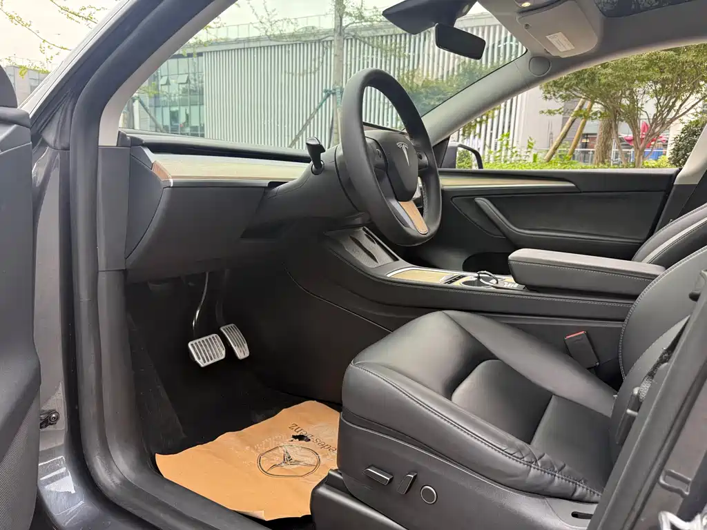 Tesla Model Y — миниатюра 5