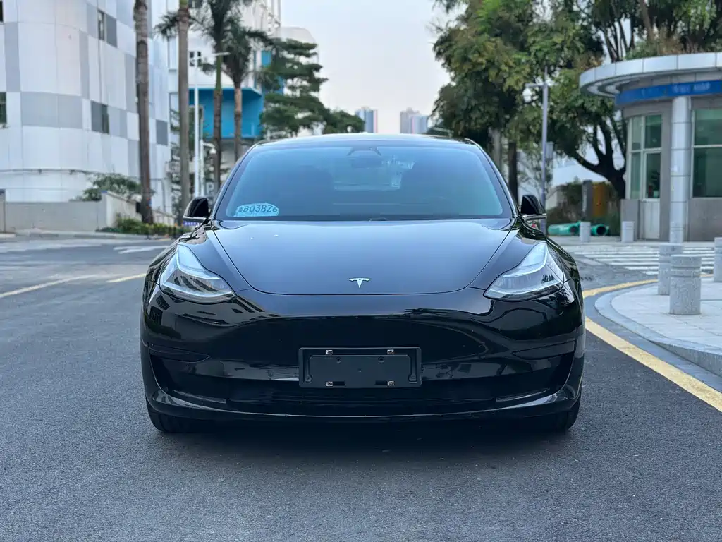 Tesla Model 3 — миниатюра 2