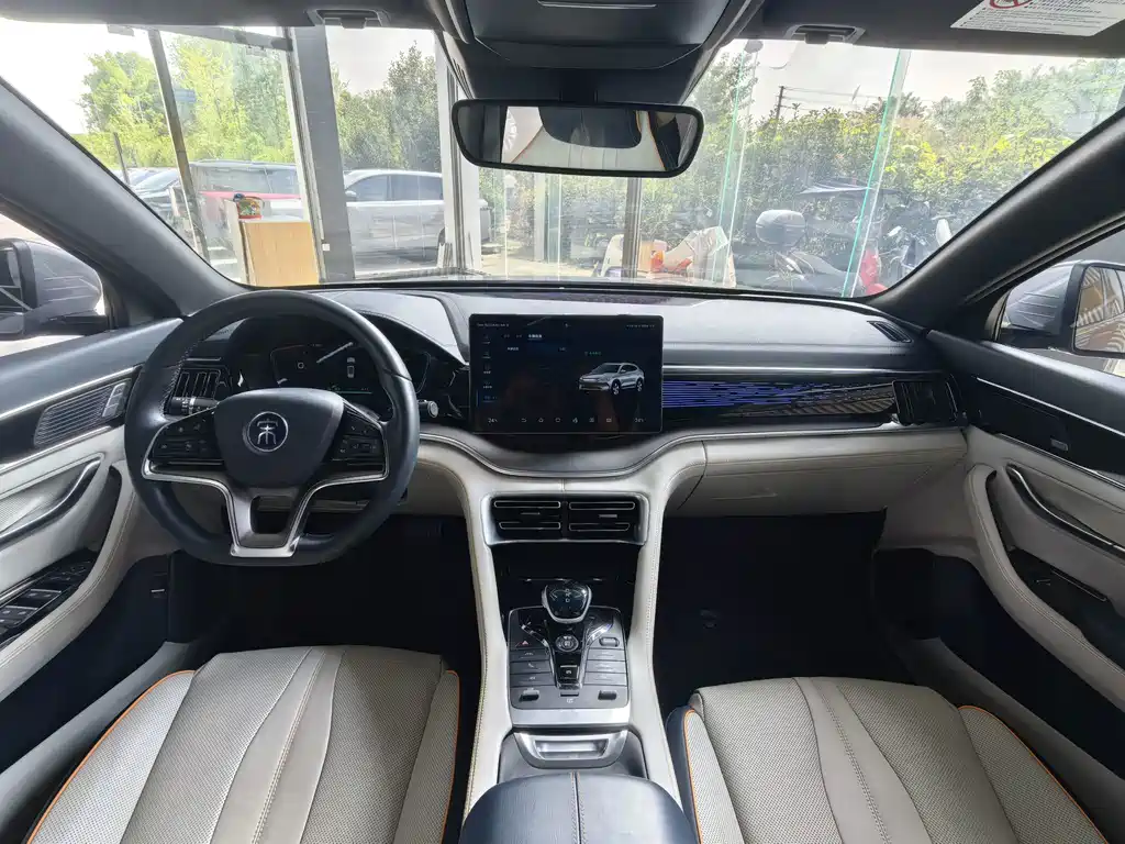 BYD PLUS New Energy — миниатюра 7