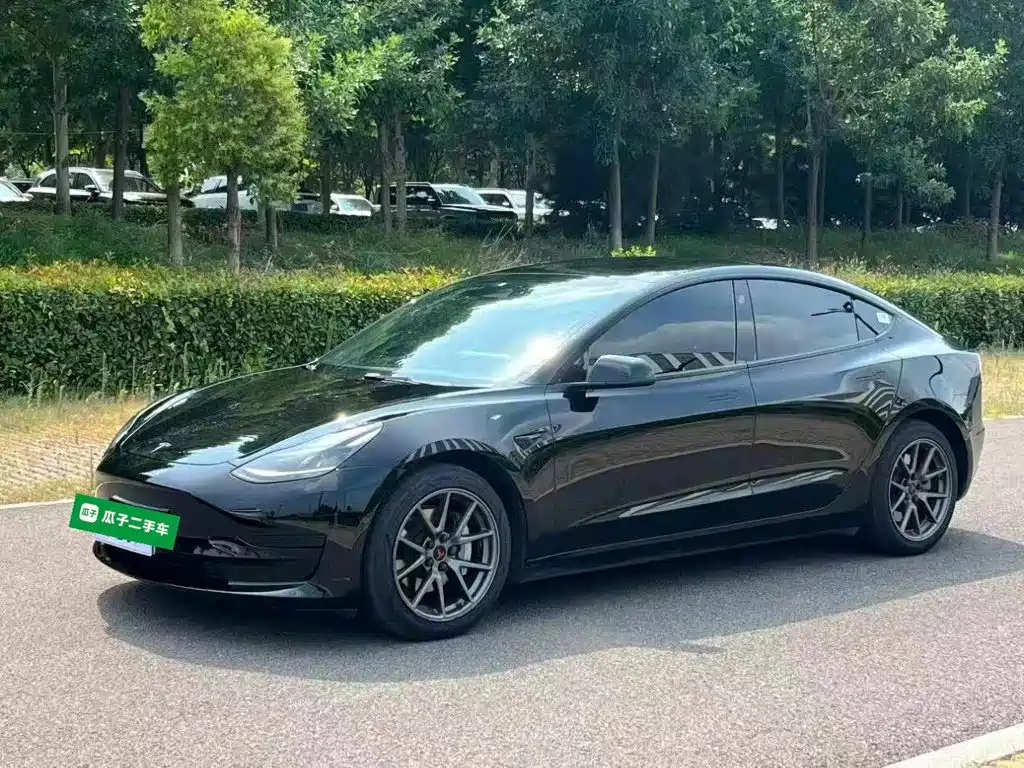 Tesla Model 3 — миниатюра 2