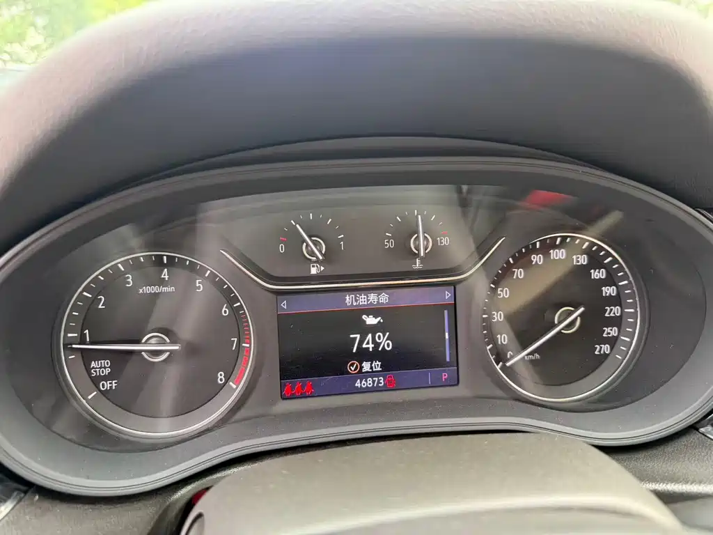 Buick Regal — миниатюра 4