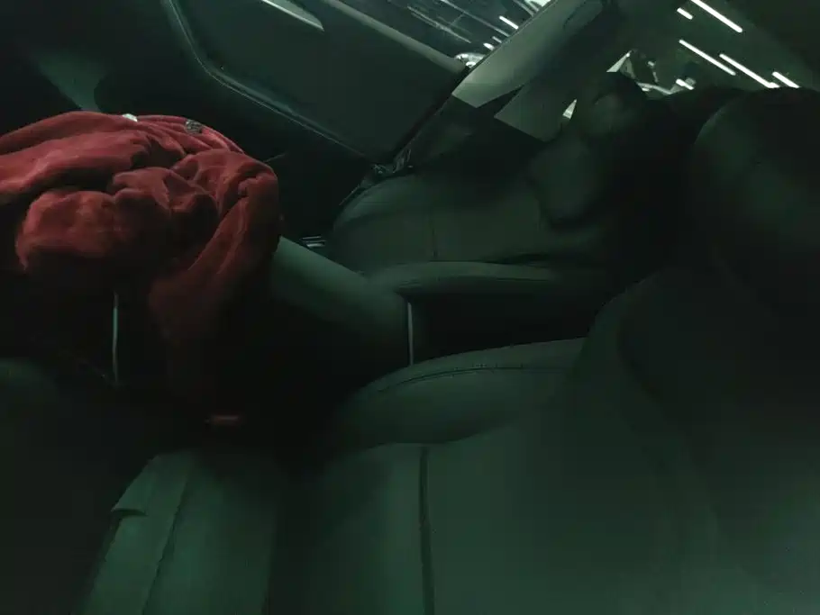 Tesla Model Y — миниатюра 13