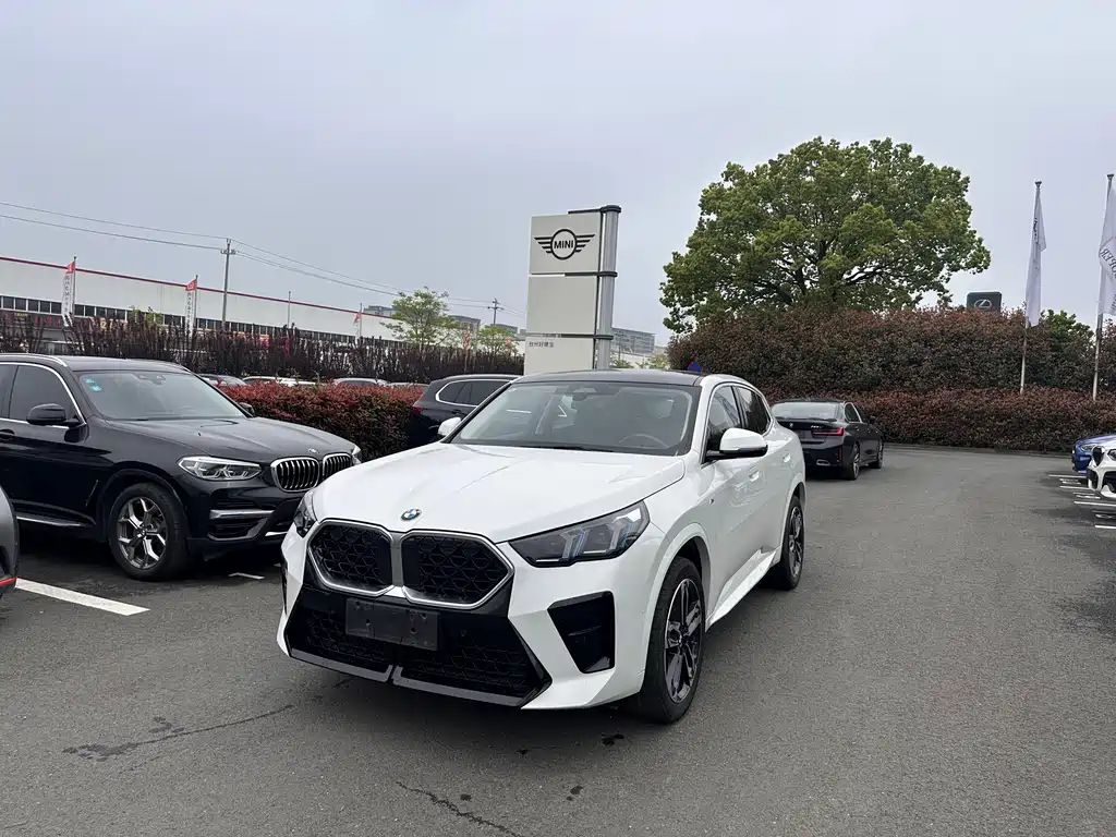 BMW X2 (Import) 2025