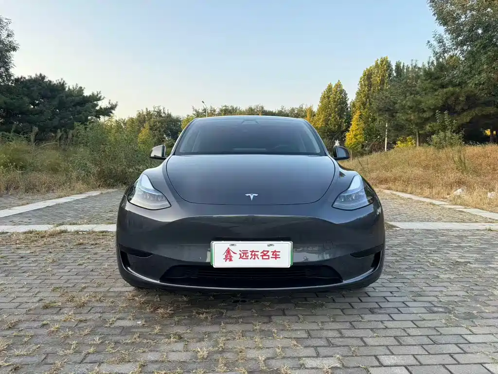 Tesla Model Y — миниатюра 2