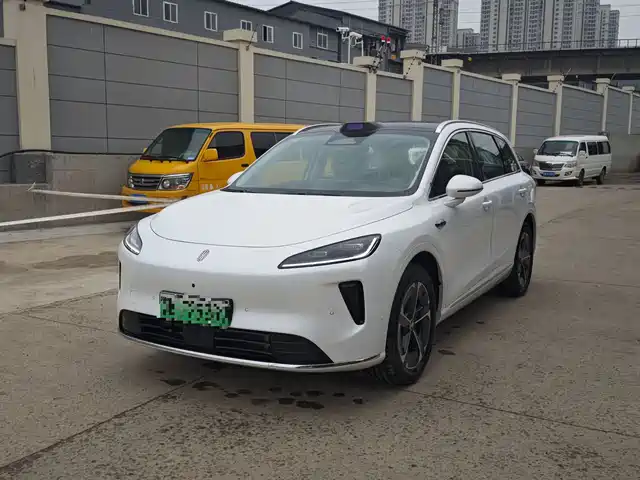2025 Singulato