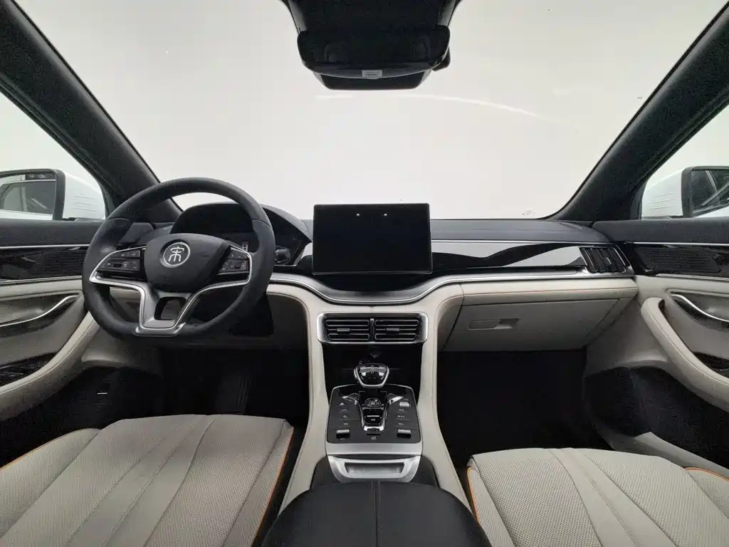 BYD PLUS New Energy — миниатюра 5