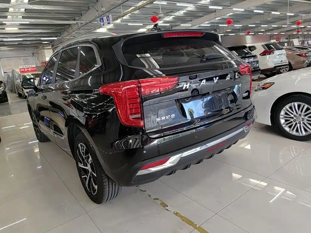 Haval Chulian — миниатюра 5