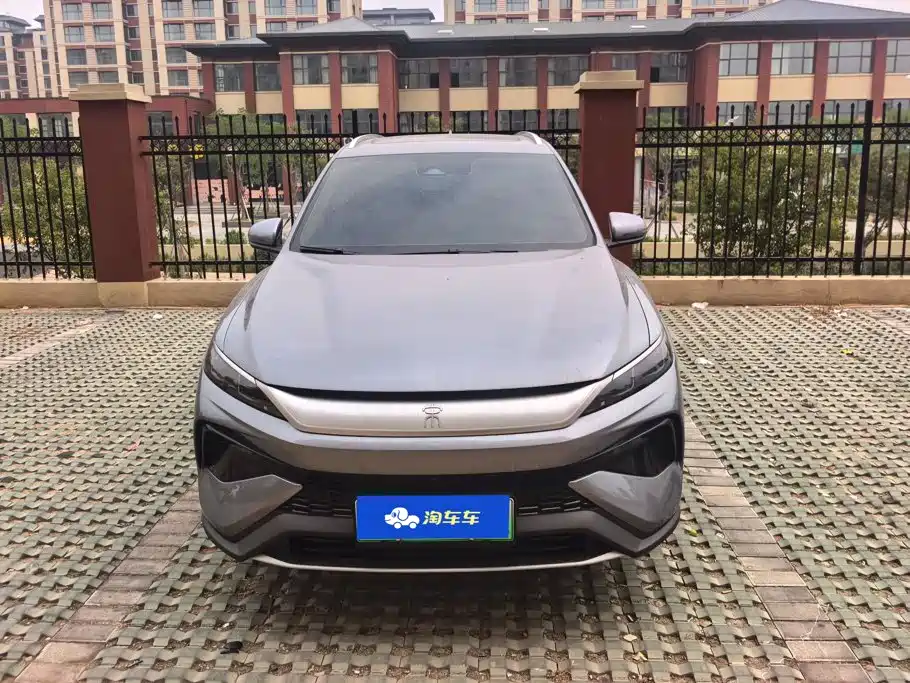 BYD Pro New Energy — миниатюра 2