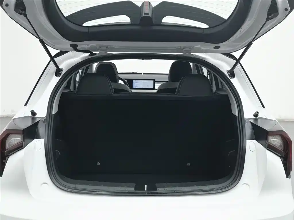 GEELY GEOMETRY E FIREFLY