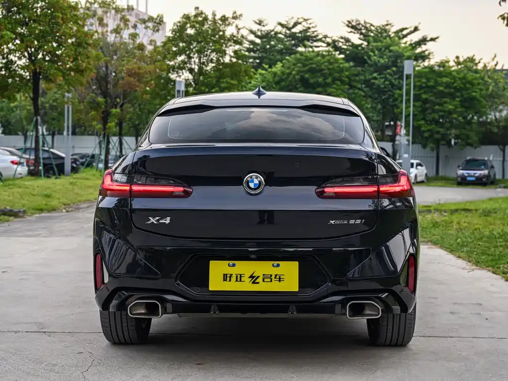 BMW X4 — миниатюра 4