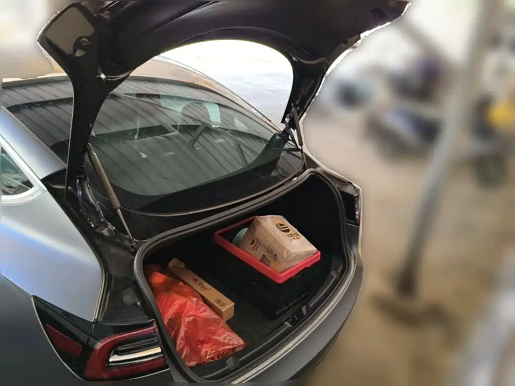 Tesla Model 3 — миниатюра 10