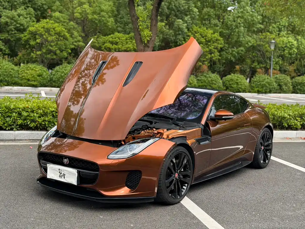 Jaguar F-TYPE — миниатюра 4