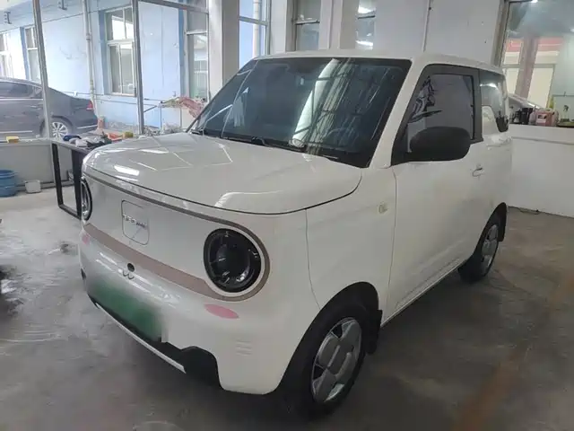 2025 Geely LC (Panda)