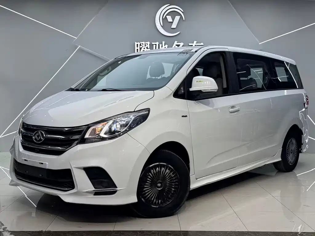 大通 G10 2019