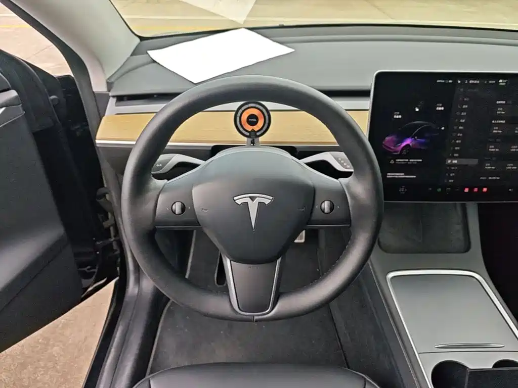 Tesla Model Y — миниатюра 11
