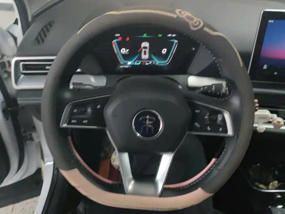 BYD Pro — миниатюра 15